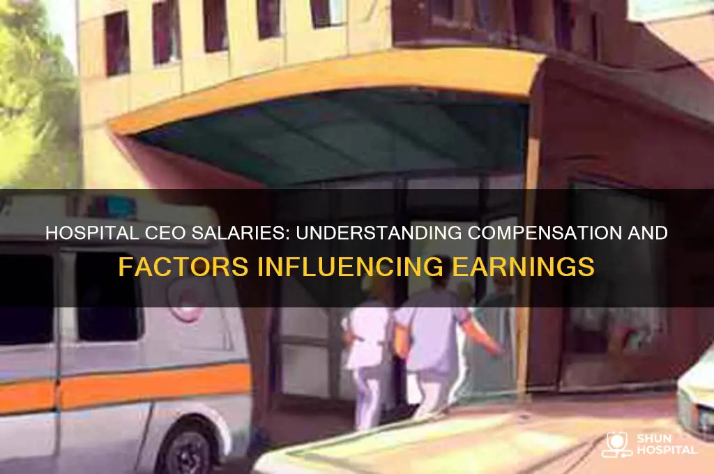 what is the salary of a ceo of a hospital