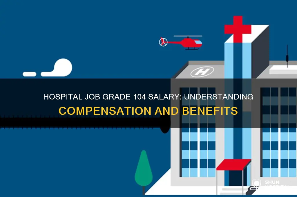 what is the salary of a hospital job grade 104