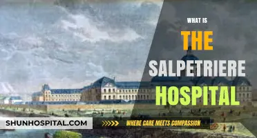 Exploring the Rich History and Significance of Salpêtrière Hospital