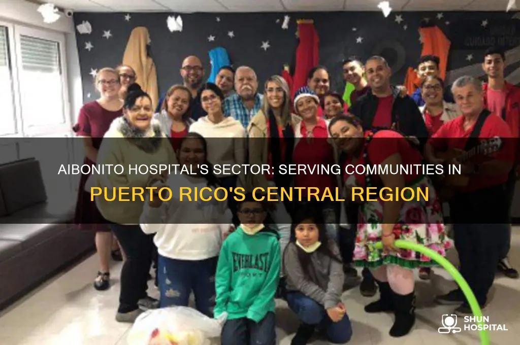 what is the sector that aibonito hospital in pr serves