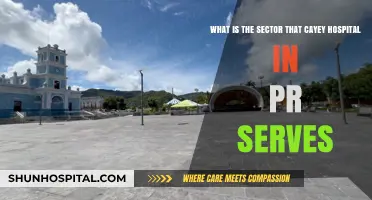 Cayey Hospital's Sector: Serving Central Puerto Rico's Healthcare Needs