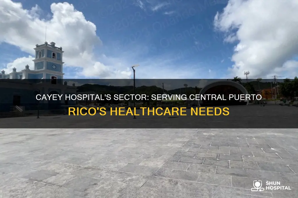 what is the sector that cayey hospital in pr serves