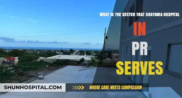 Guayama Hospital's Sector: Serving Communities in Puerto Rico's Southern Region