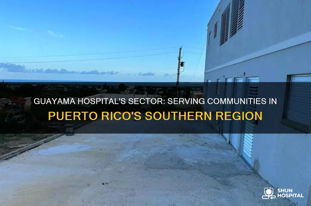 what is the sector that guayama hospital in pr serves