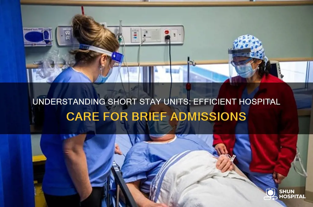 what is the short stay unit in a hospital