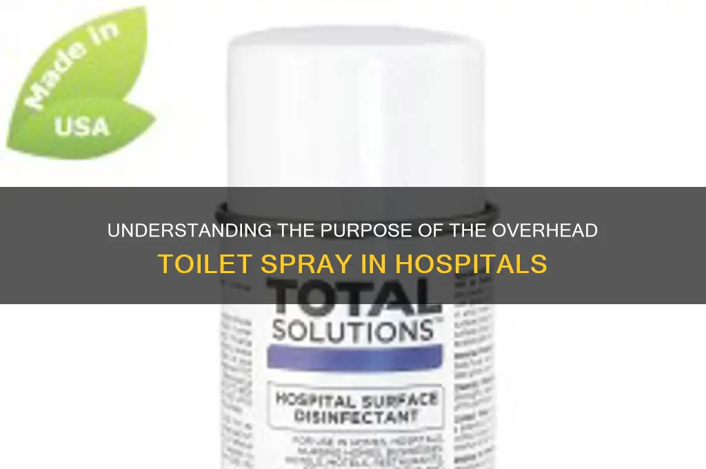 what is the shower head above the hospital toilet called