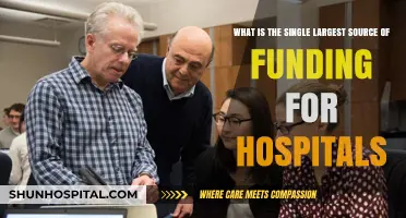 Unveiling the Primary Financial Lifeline for Hospitals: A Comprehensive Analysis