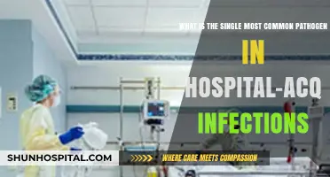 Unveiling the Top Pathogen Behind Hospital-Acquired Infections: A Comprehensive Overview