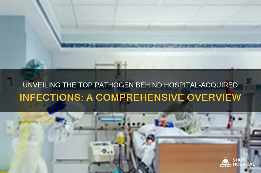 what is the single most common pathogen in hospital-acquired infections