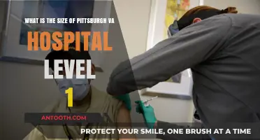 Exploring the Size of Pittsburgh VA Hospital's Level 1 Facility