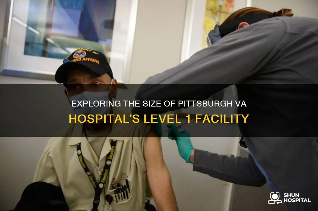 what is the size of pittsburgh va hospital level 1