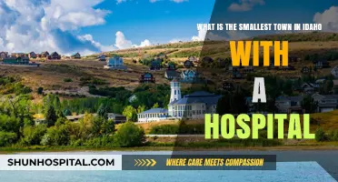 Discovering Idaho's Tiniest Town Boasting a Hospital: A Hidden Gem