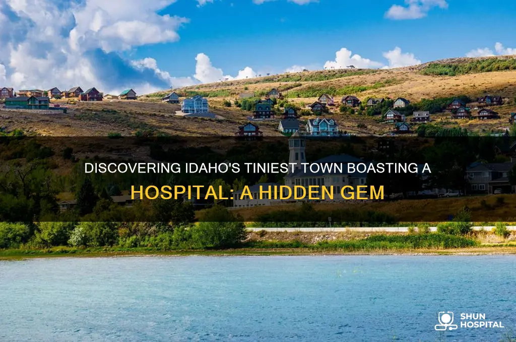 what is the smallest town in idaho with a hospital