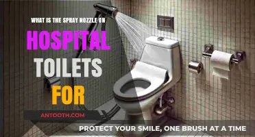Hospital Toilet Spray Nozzle: Purpose, Hygiene, and Function Explained