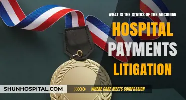 Michigan Hospital Payments Litigation: Current Status and Key Updates