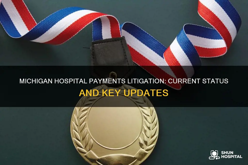 what is the status of the michigan hospital payments litigation