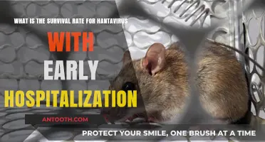 Early Hospitalization and Hantavirus: Survival Rates Explained