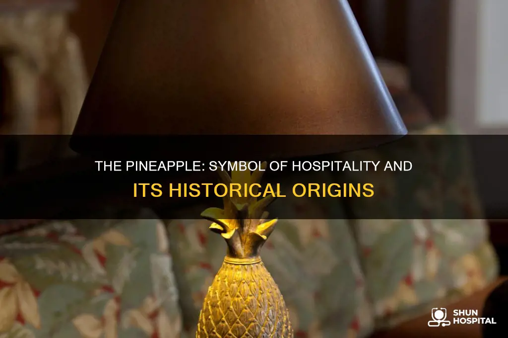 what is the symbol of hospitality discuss its origin