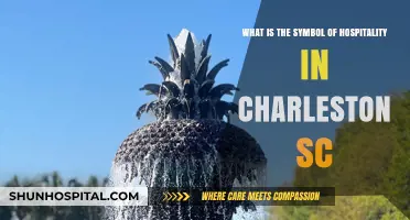 Charleston's Iconic Pineapple: A Timeless Symbol of Southern Hospitality