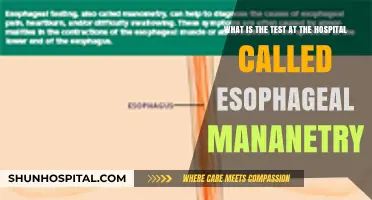 Understanding Esophageal Manometry: The Hospital Test Explained Simply