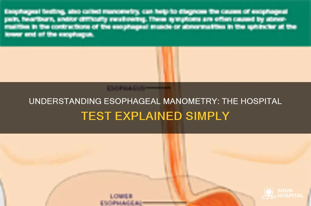 what is the test at the hospital called esophageal mananetry