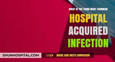 Unveiling the Third Leading Hospital-Acquired Infection: Causes and Prevention