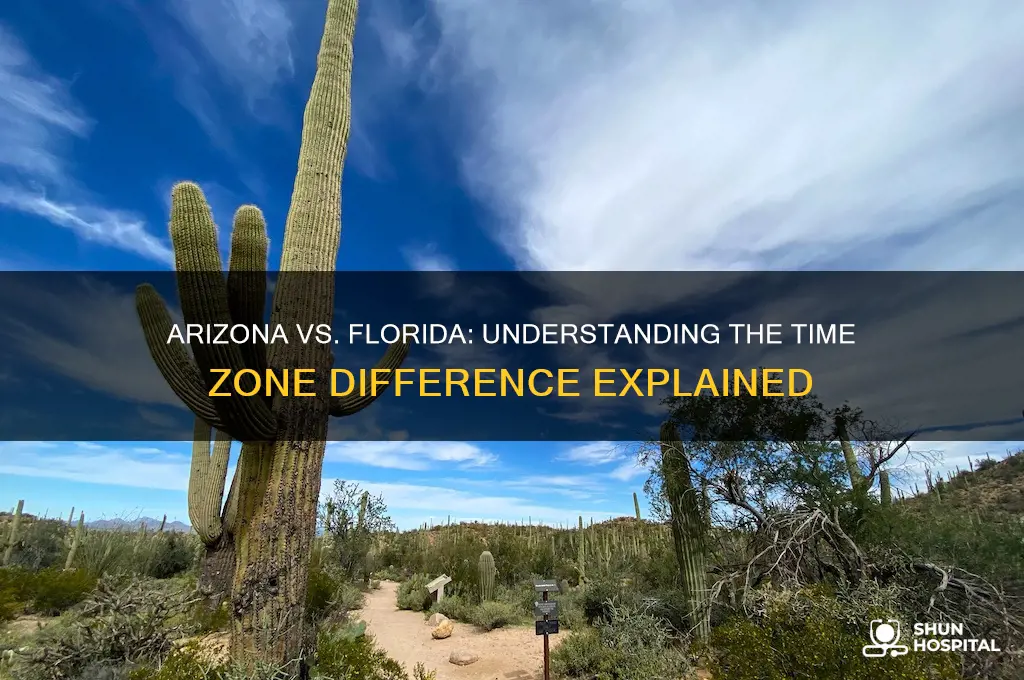 what is the time difference between arizona and florida