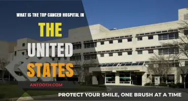Discovering America's Leading Cancer Hospital: Top Care and Innovation