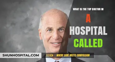 Chief Medical Officer: Understanding the Top Doctor in a Hospital