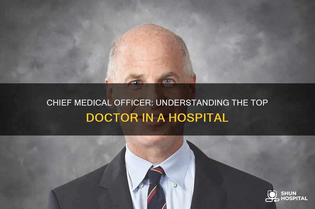 what is the top doctor in a hospital called
