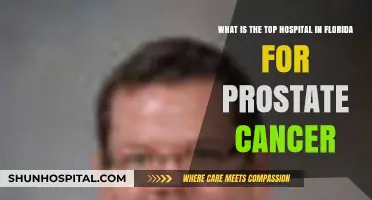 Florida's Leading Prostate Cancer Hospital: Top Care and Treatment Options