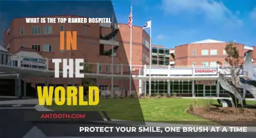 Discovering the World's Top-Ranked Hospital: Excellence in Healthcare