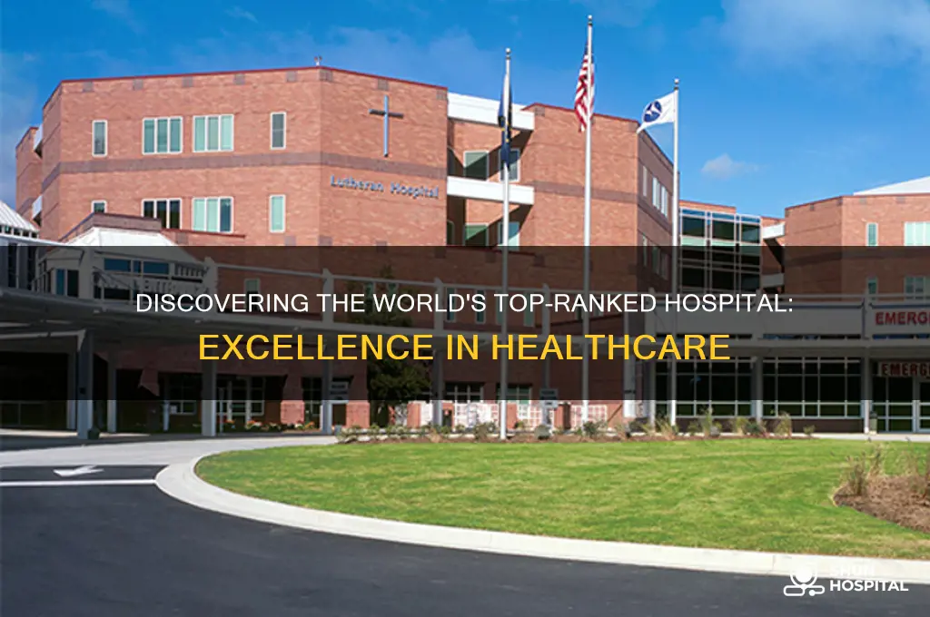 what is the top ranked hospital in the world