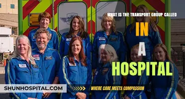 Understanding the Role of Hospital Transport Teams in Patient Care