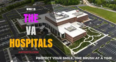Exploring the Role and Services of VA Hospitals in the United States