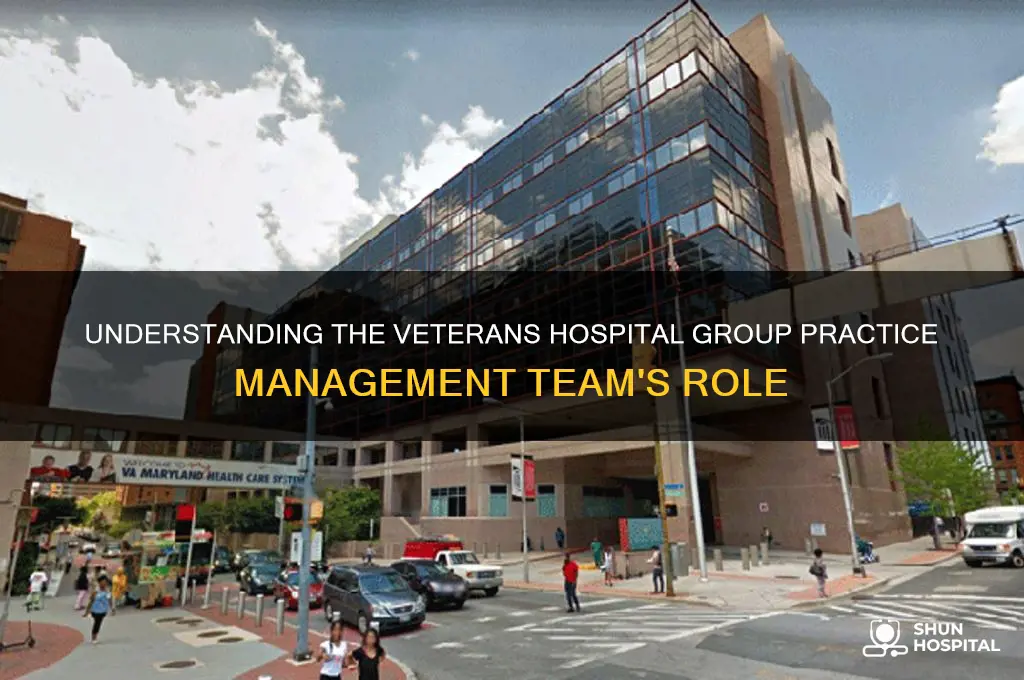 what is the veterans hospital group practice management team