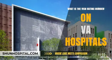 Understanding VISN Ratings: Evaluating VA Hospital Performance and Quality