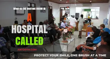 Understanding the Hospital Waiting Area: What’s It Actually Called?