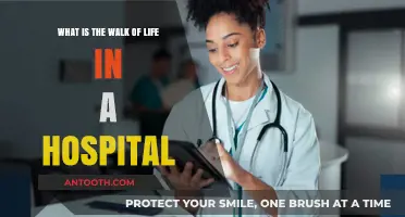 Exploring the Diverse Walk of Life in a Hospital Setting