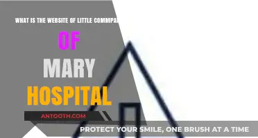 Little Company of Mary Hospital: Official Website Guide and Access