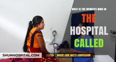 Understanding the Women's Wing: A Hospital Department Explained