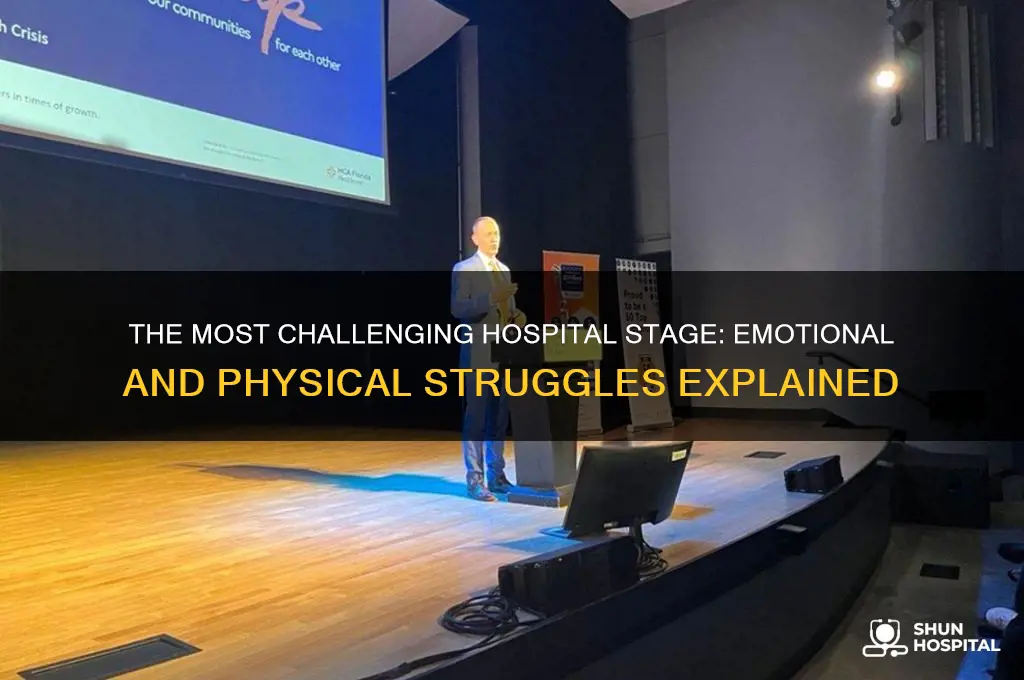 what is the worst stage of someone in the hospital