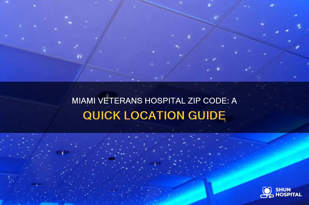 what is the zip code of the miami veterans hospital
