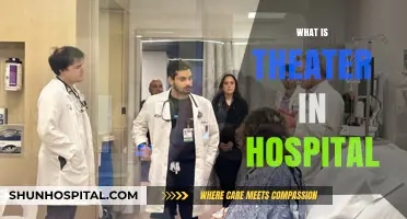 Healing Through Performance: The Impact of Theater in Hospitals