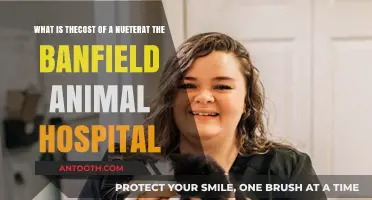 Banfield Animal Hospital Spay/Neuter Costs: What to Expect
