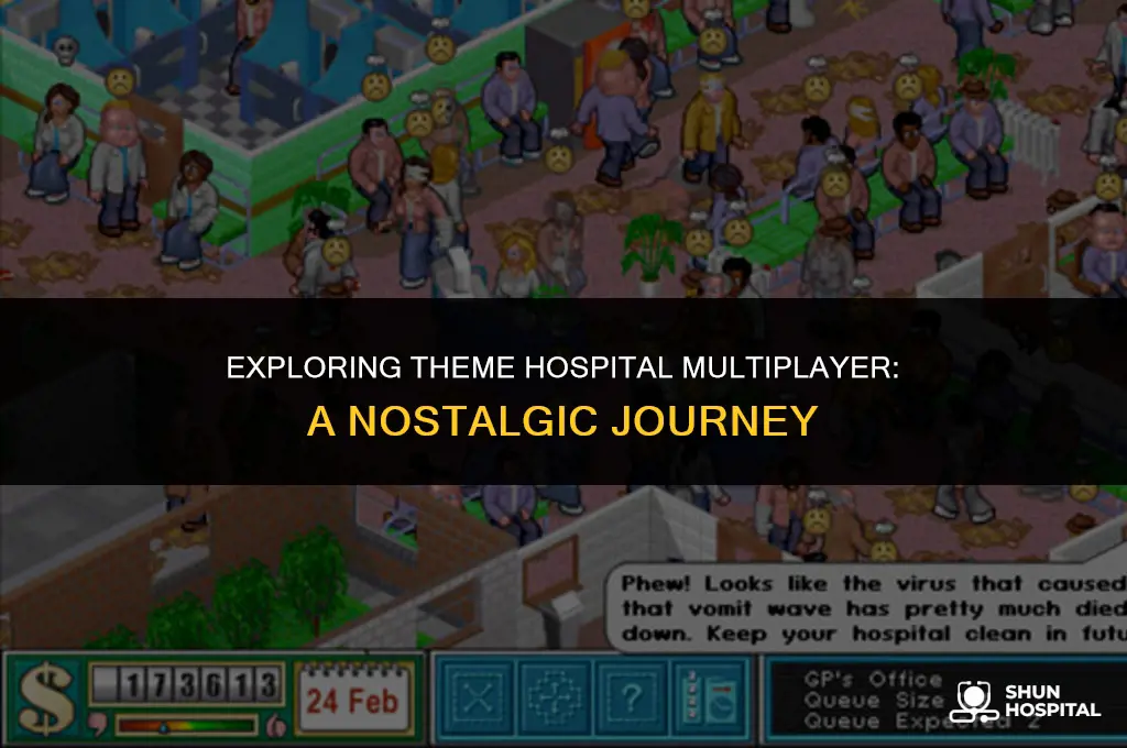 what is theme hospital multiplayer