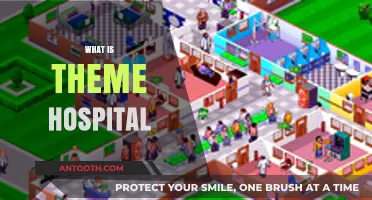 Exploring Theme Hospitals: Where Entertainment Meets Healthcare
