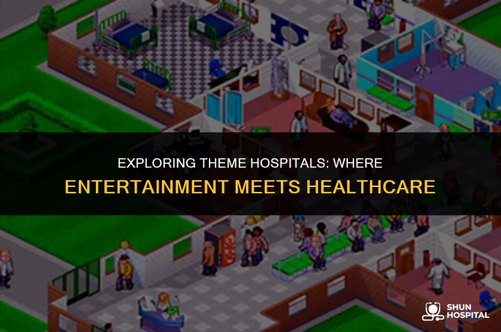 what is theme hospital