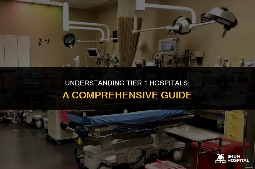 what is tier 1 hospital