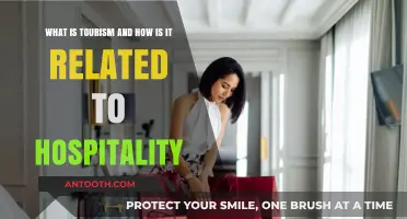 Exploring Tourism and Its Deep Connection to Hospitality Industry